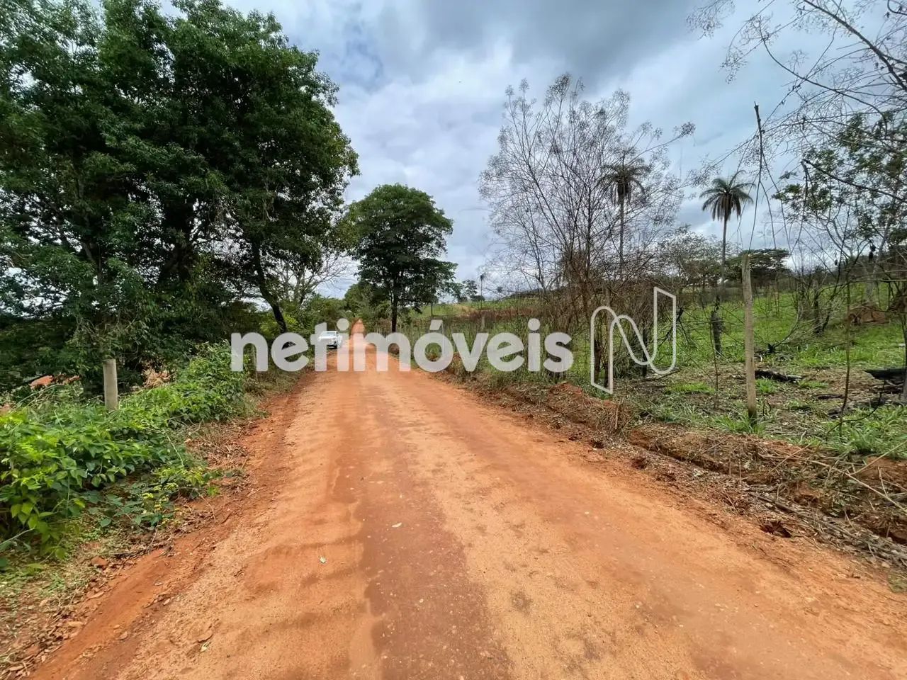Venda Chácara Tapera Florestal - Foto 4