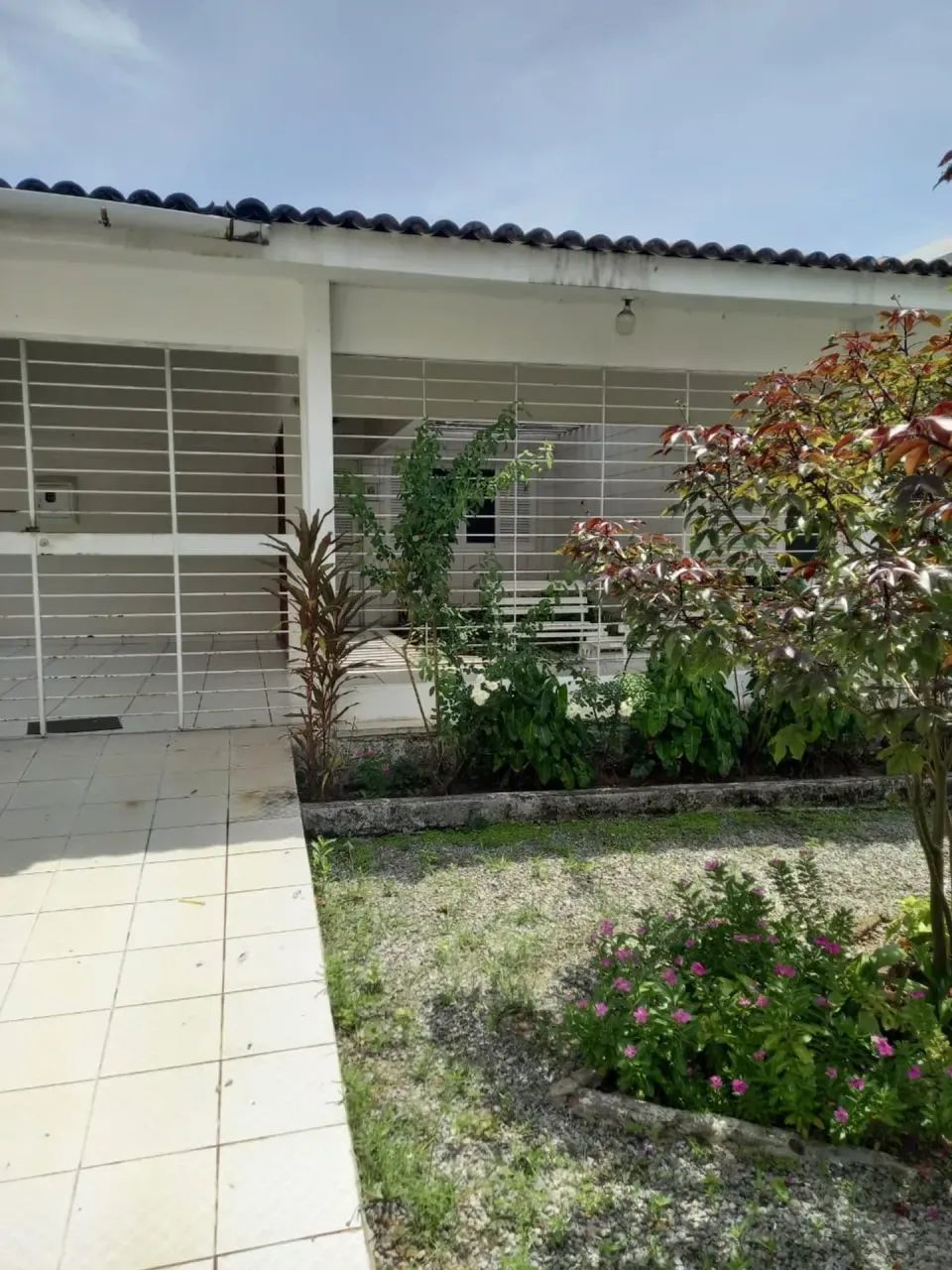 Excelente casa pra comércio, atrás da Restauração, com 481m2, em excelente estado conserva - Foto 3