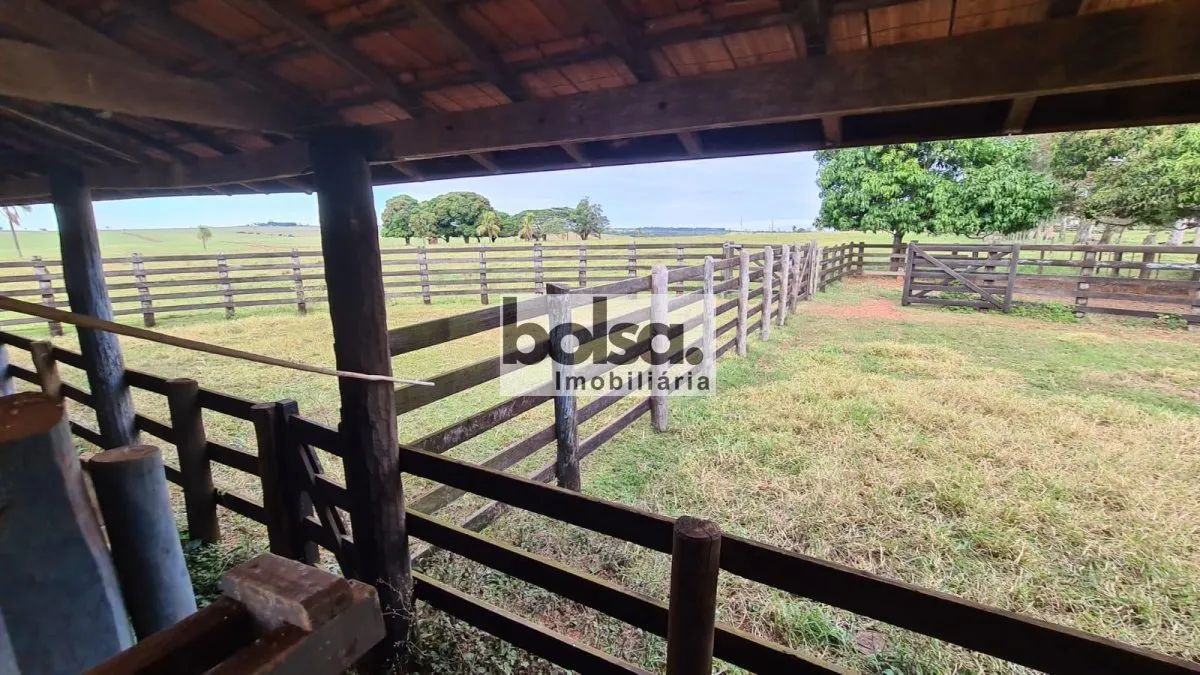 FAZENDA ARRENDADA CANA AÇUCAR - Foto 4