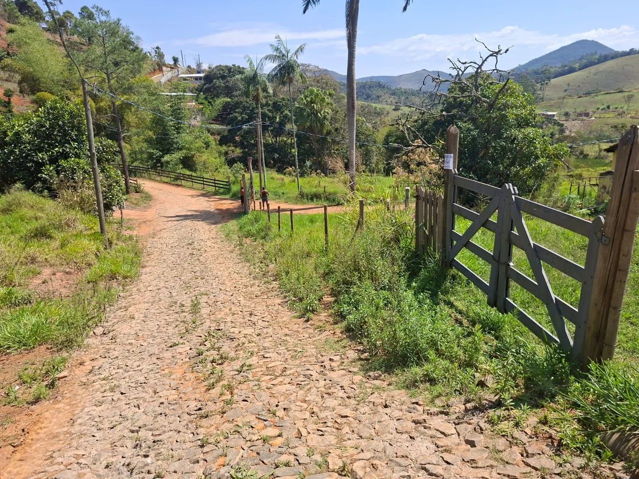 Vendo granja em Humaitá com fundação 