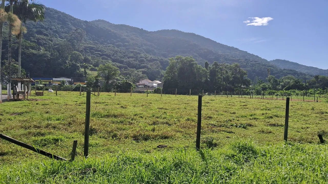Terreno urbano 6.500 m² em Santo Amaro da Imperatriz-SC  - Foto 4