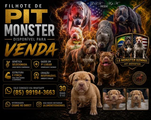 FILHOTE DE PIT MONSTER  - Foto 2