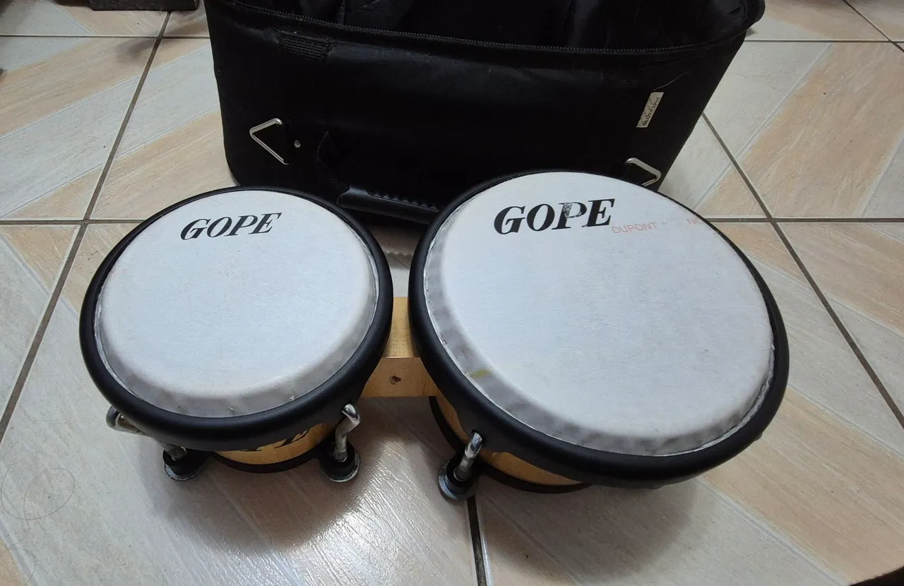Bongo Lp Aspire 7? E 8? + Suporte Remo - Usado - Instrumentos