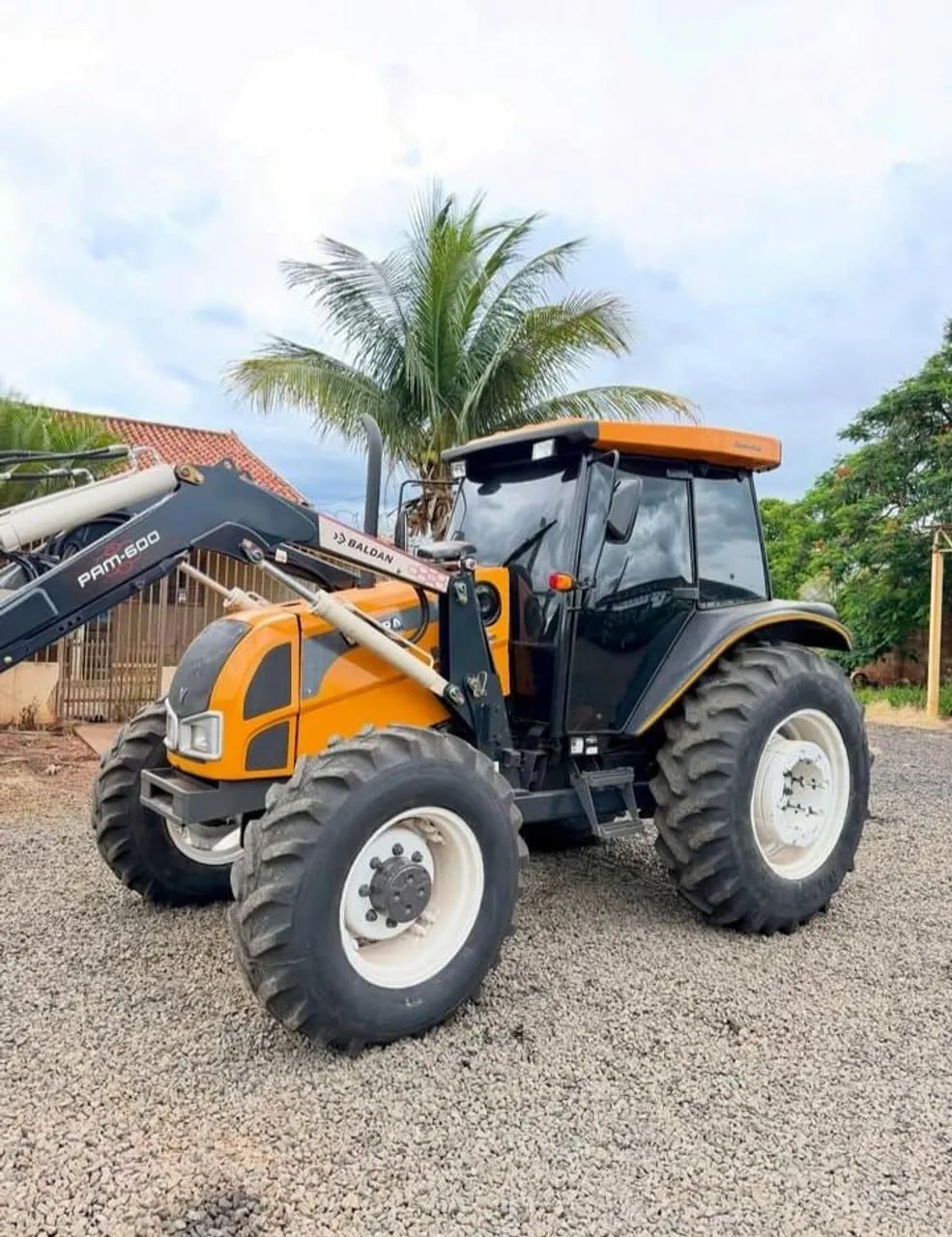 O companheiro fiel da lavoura - Foto 11