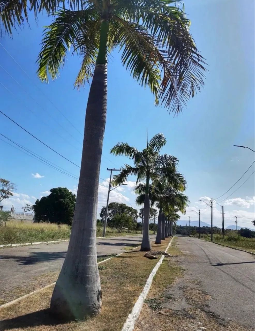 Lote no condomínio Reserva Camará - Foto 5