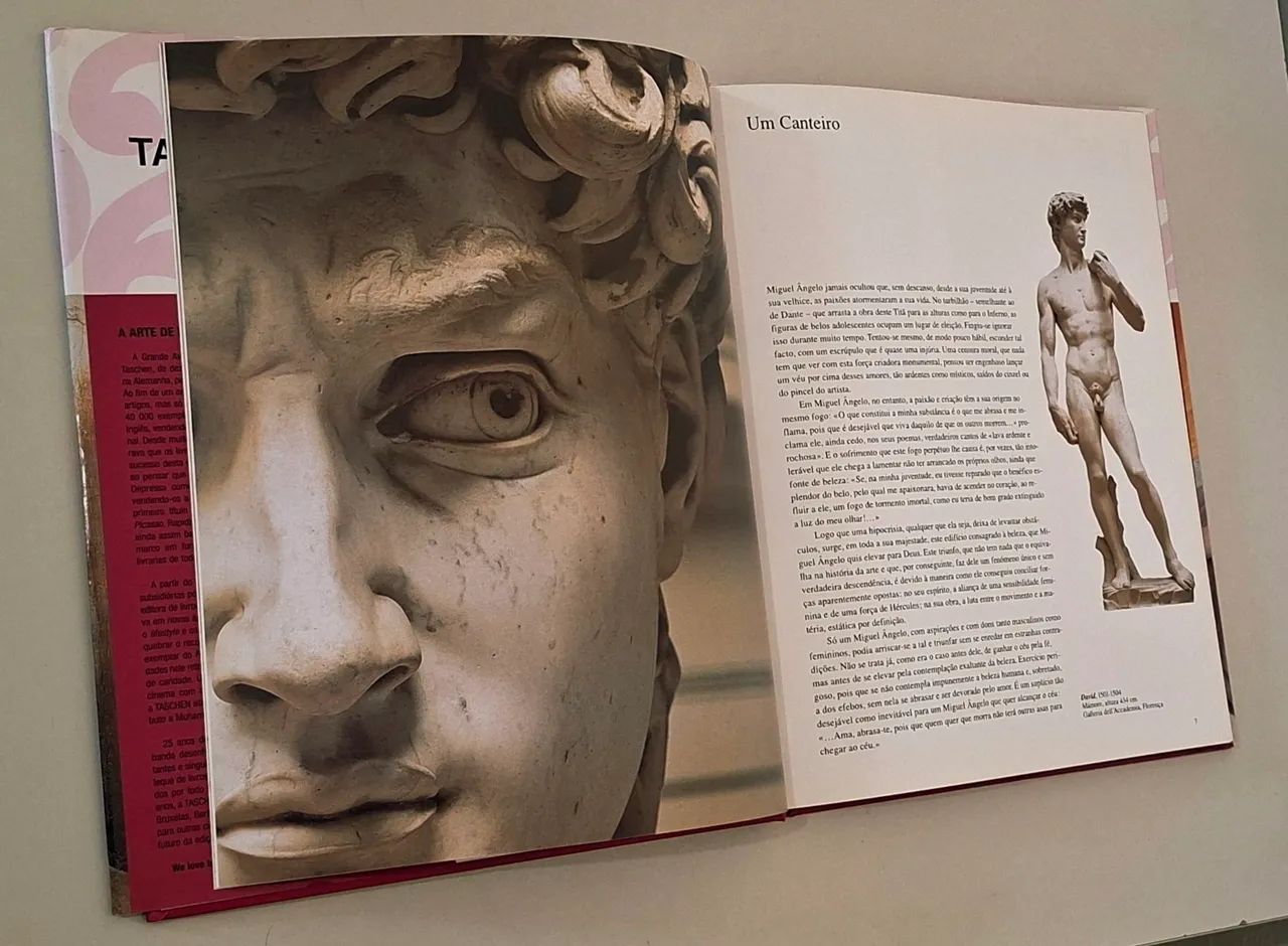 Desapego! Livros de arte e moda  - Foto 4