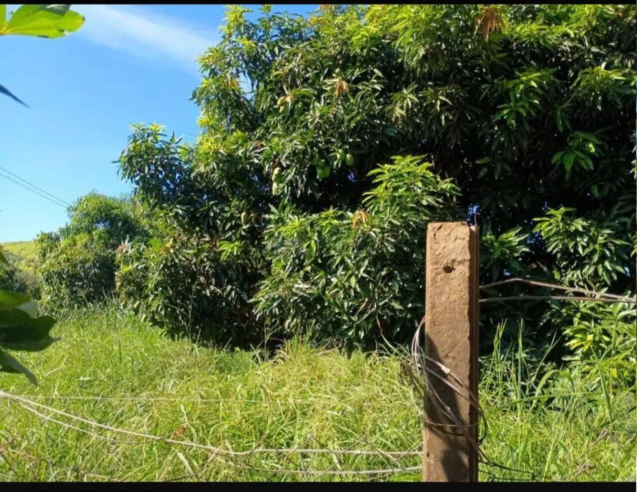 Chácara à Venda Excelente Oportunidade<br> - Foto 2