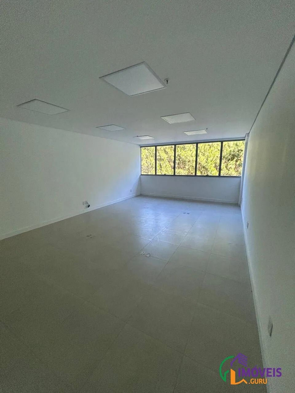 COMERCIAL - SACO GRANDE - SC - Foto 2