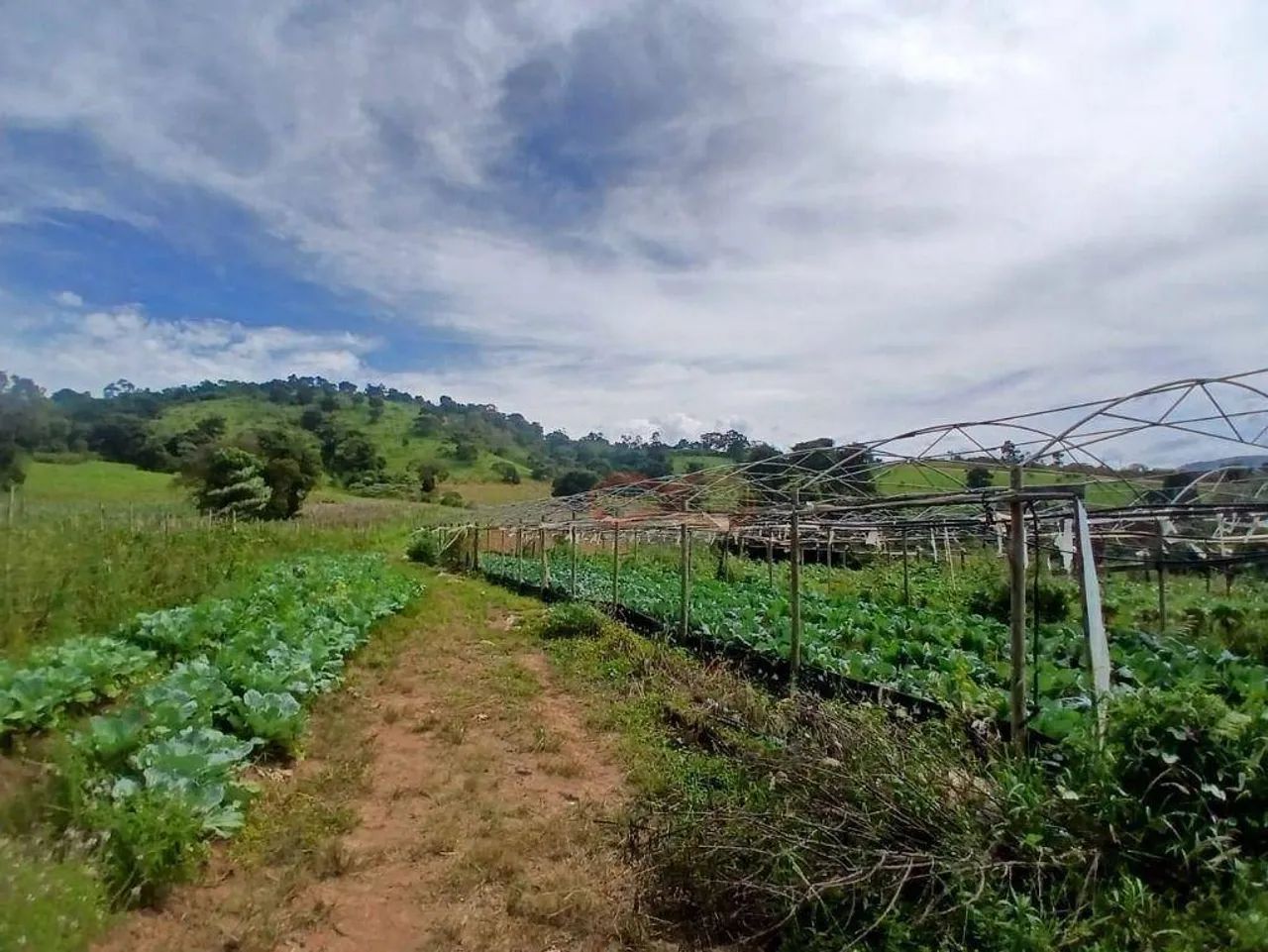 Sítio Rural / Dos Silva - Foto 4