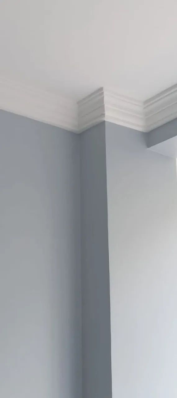 PINTOR PROFISSIONAL  - Foto 4