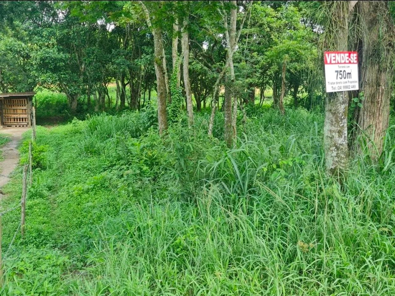 Vendo terreno em Pinheiral - Foto 3