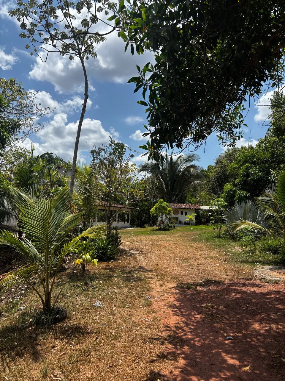 VENDO SÍTIO EM ROSÁRIO - MA - Foto 5