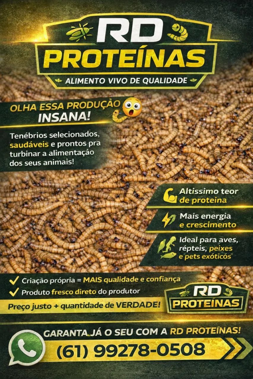 Ração, farelo de arroz, quirela de milho, Tenebrios, baratas, grilos, minhocas, besouros 