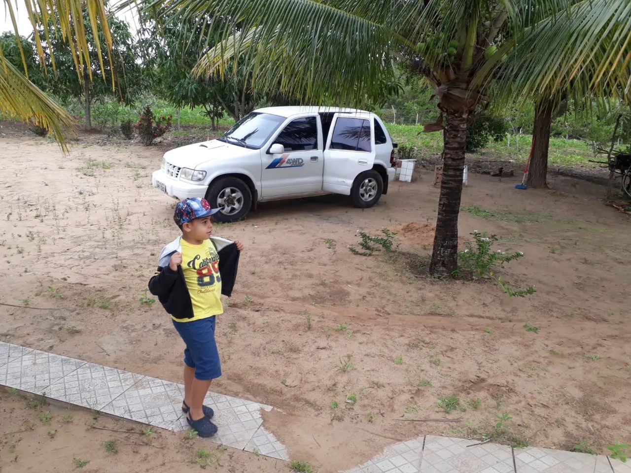 Vendo Chácara São Pedro - Foto 5
