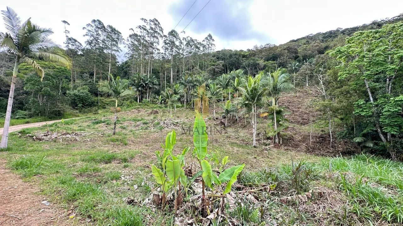 Sítio com cachoeira, Luiz Alves/SC - Foto 3