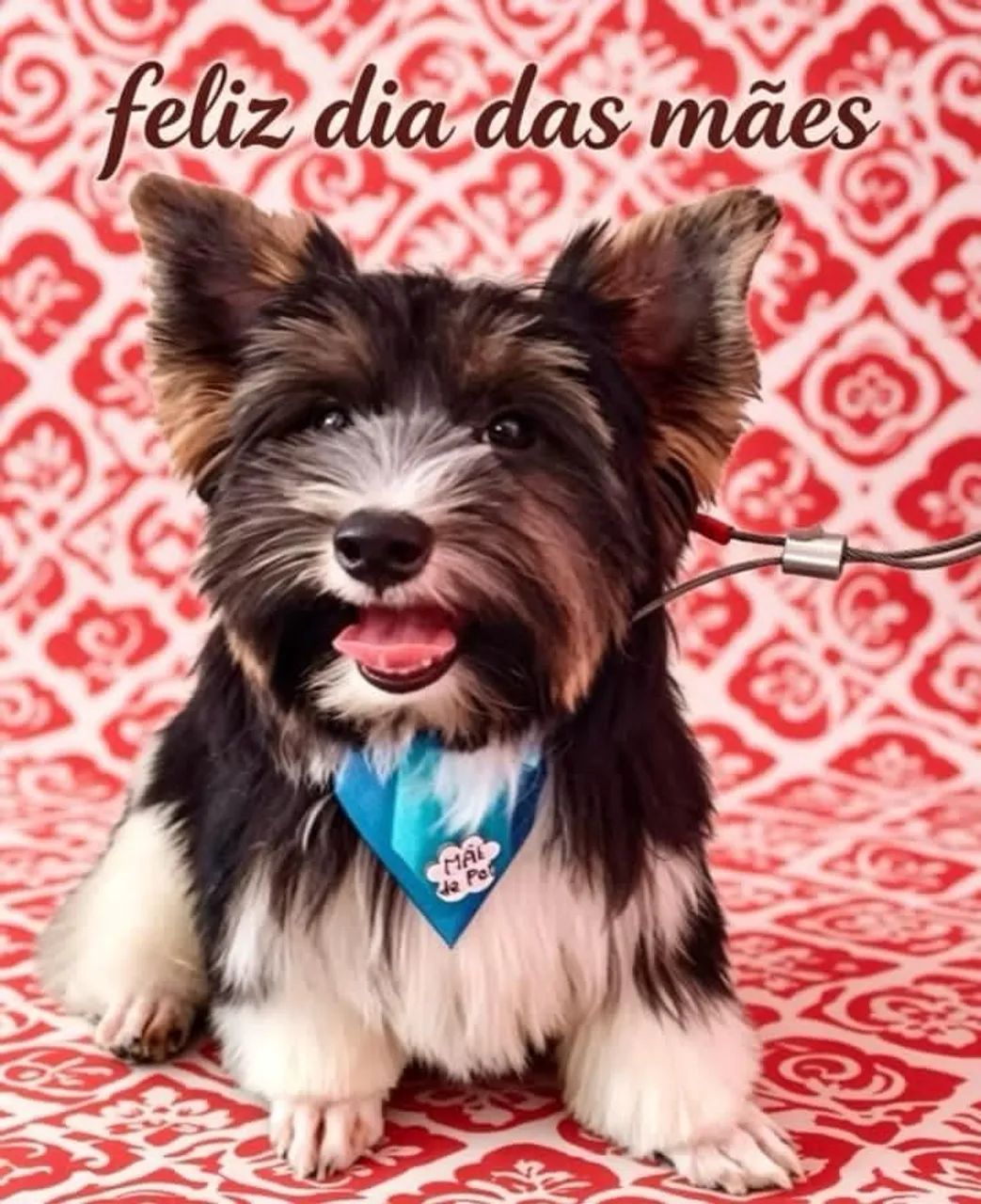 Vendo 1 machinho da raça Biewer terrier.  - Foto 6