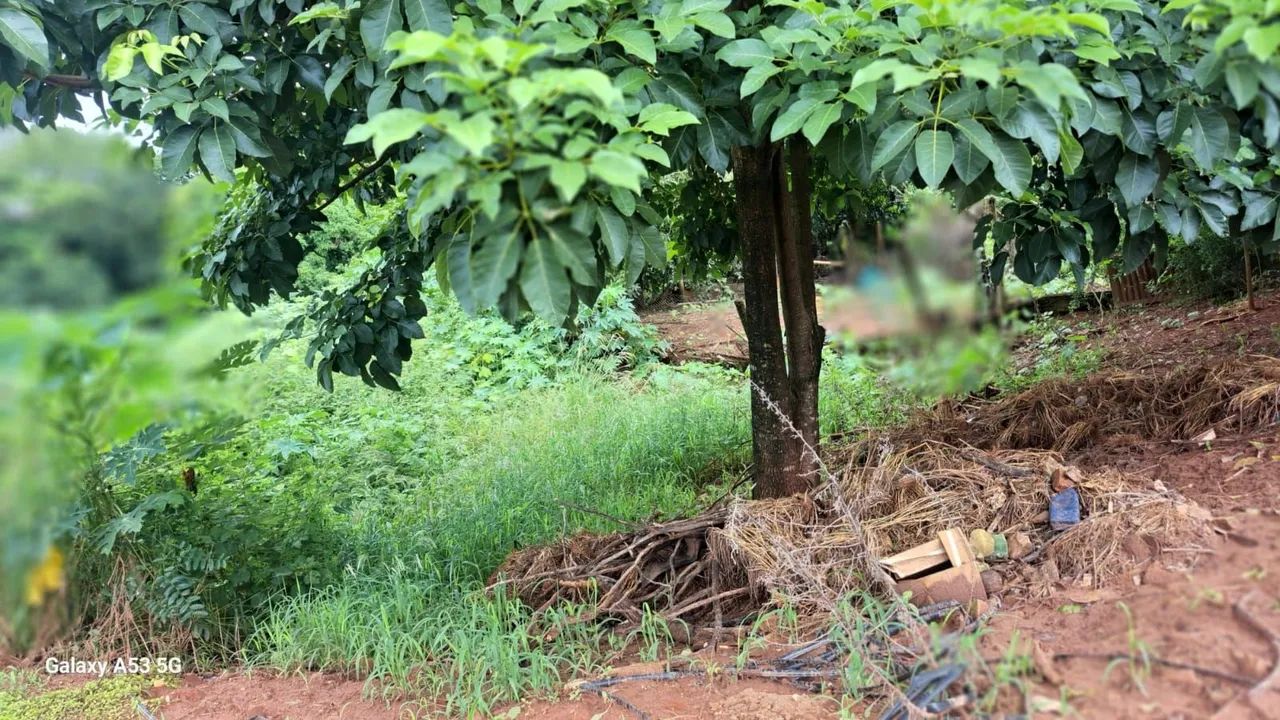Terreno tipo chácara na entrada da cidade de Sabino - SP e - Foto 3