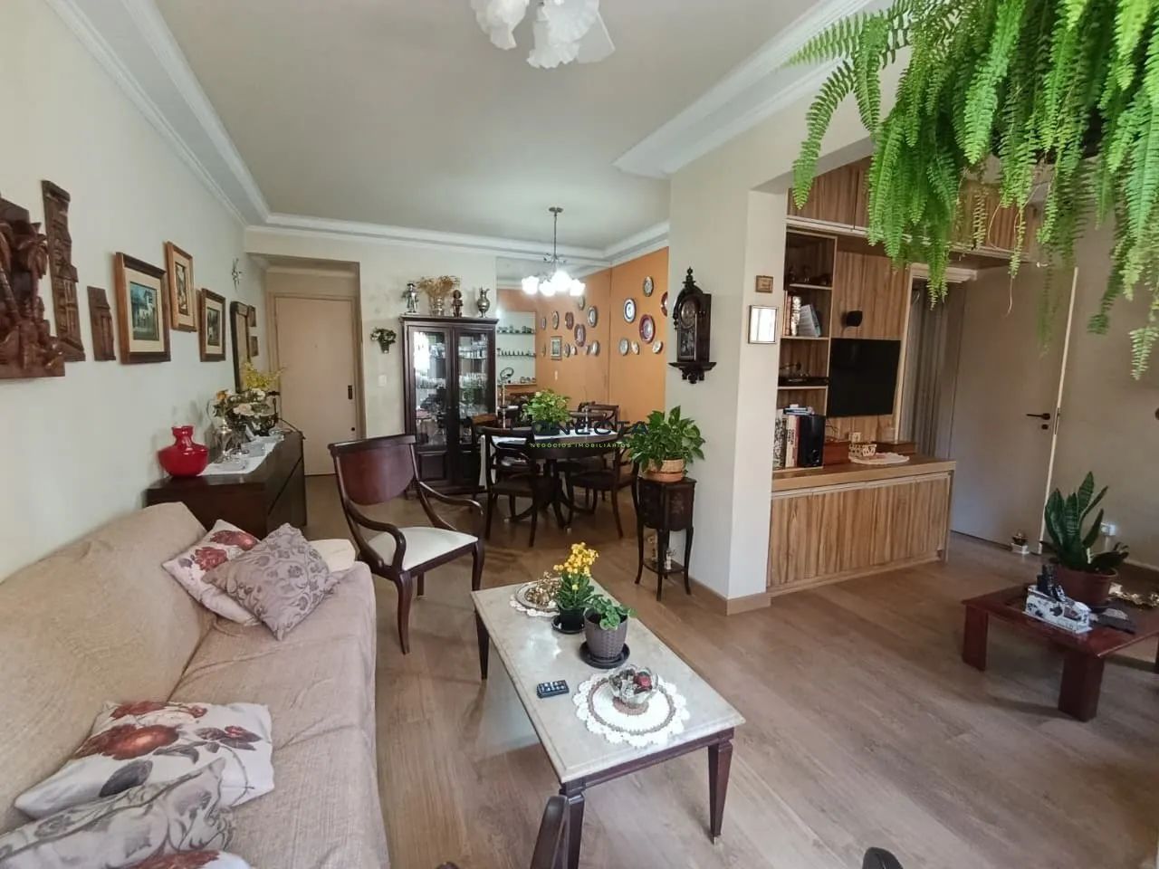 Apartamento | Bella Cintra | Centro