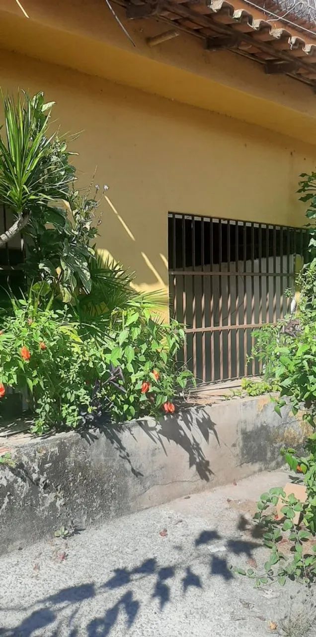 Alugo casa,para / depósito( outros finalidades)