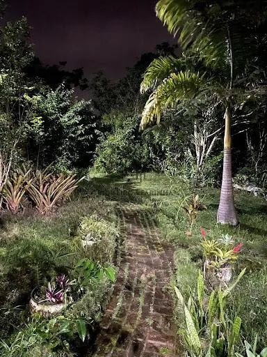 SÍTIO NO CENTRO DE SERRA NEGRA - BEZERROS/PE - Foto 3