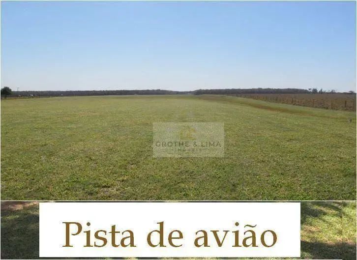 Fazenda à venda em Rancharia - SP - Foto 4