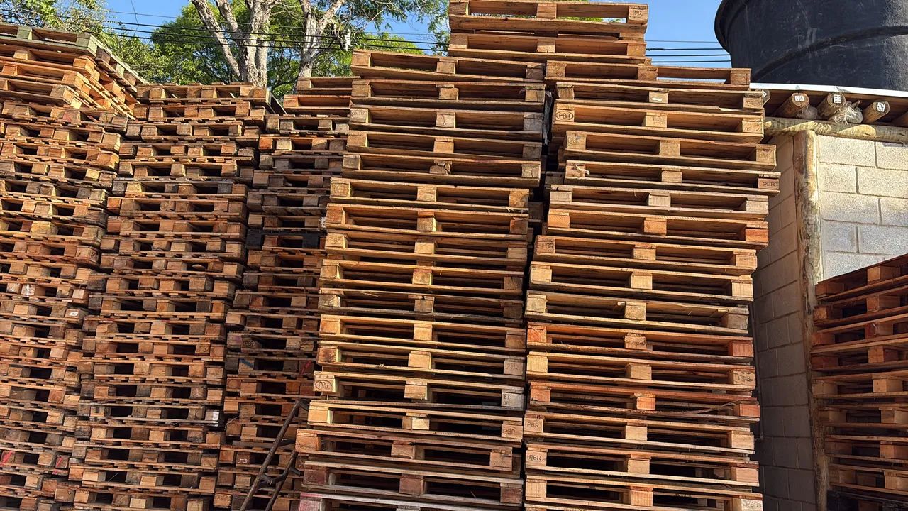 Palete PBR Venda - Foto 2