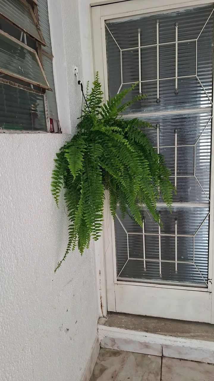 Foto - Sumaré - Jardim Conceição (Nova Veneza)