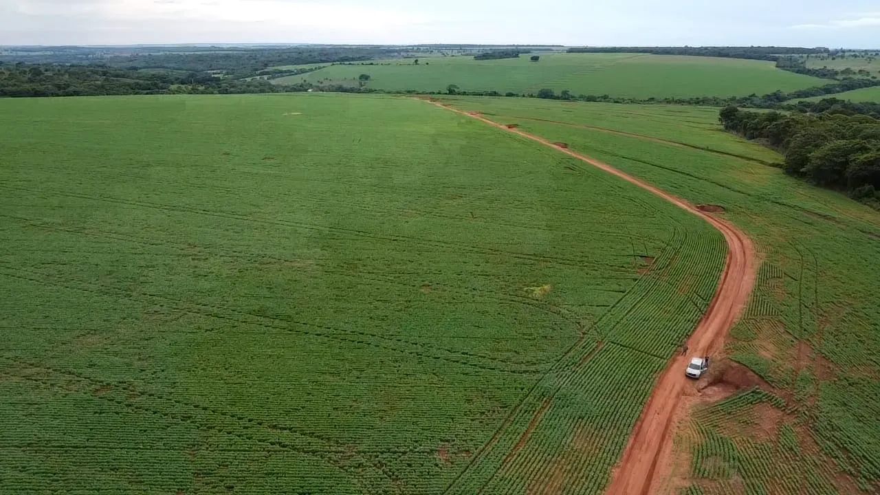 Fazenda de dupla aptidão - Foto 4