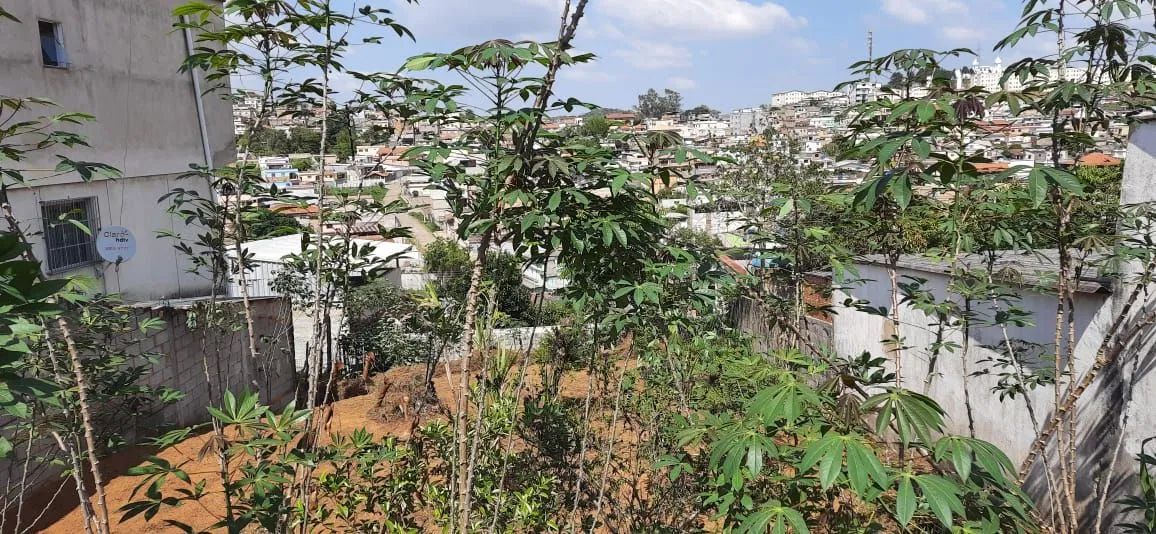 LOTE A VENDA .EXCELENTE OPORTUNIDADE.  - Foto 3