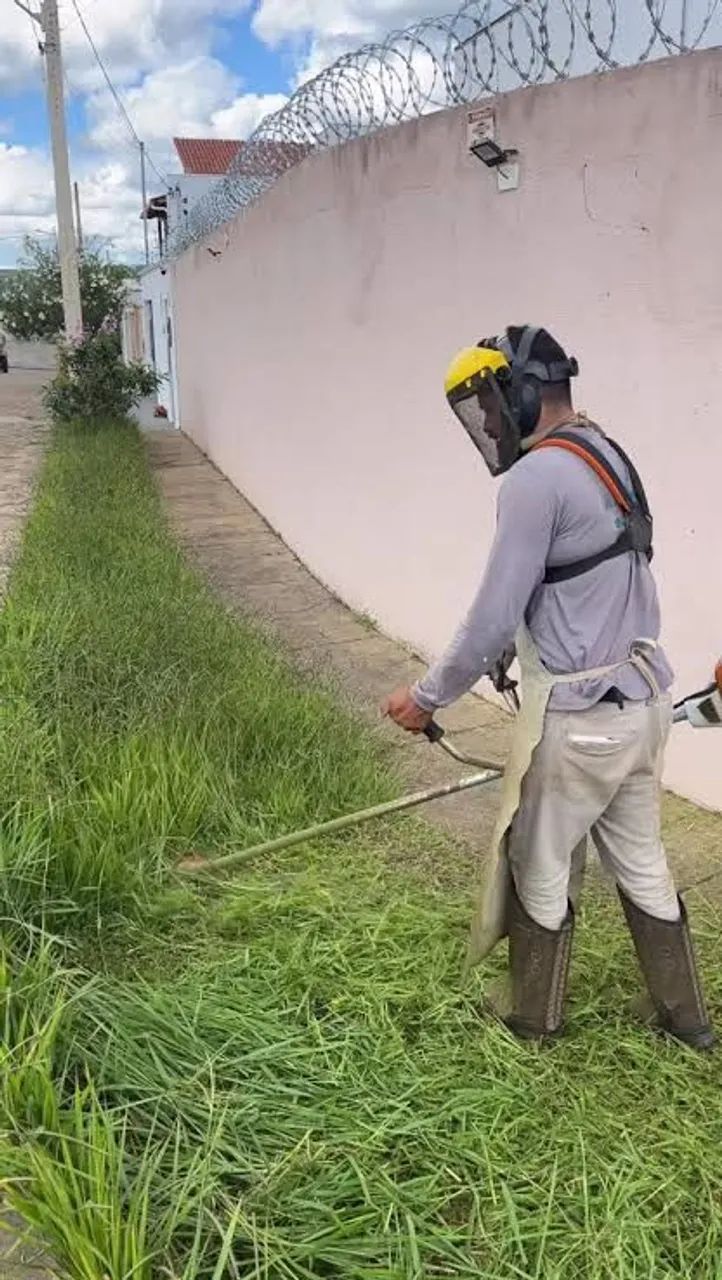 Trabalho com limpeza de terreno  - Foto 2