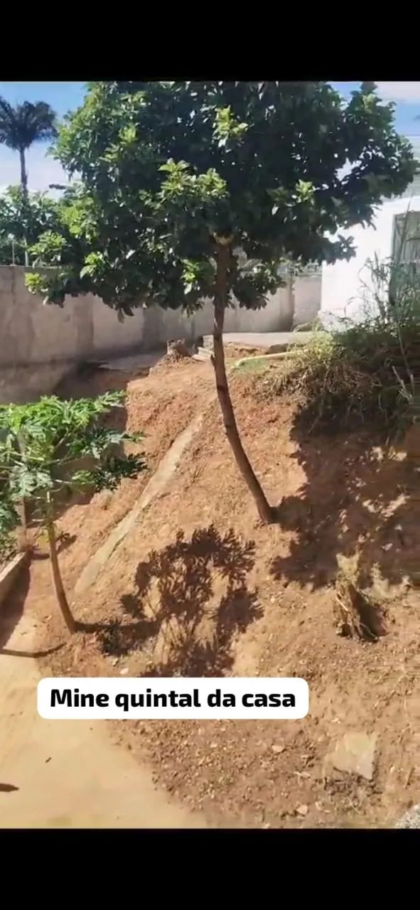 Casa em São Lourenço da Mata  - Foto 3