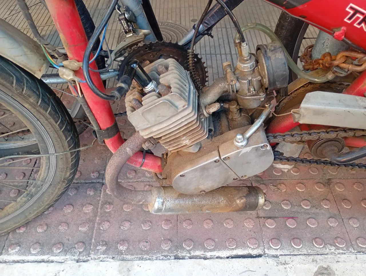 Vendo ou negócio em cavalos  - Foto 4