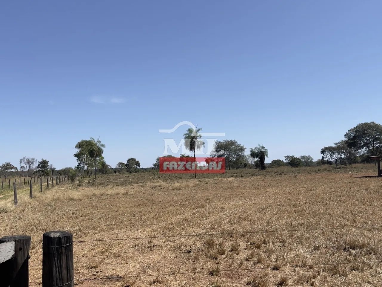 Fazenda em Nova Crixas-GO de 140 Alqueires - Foto 3