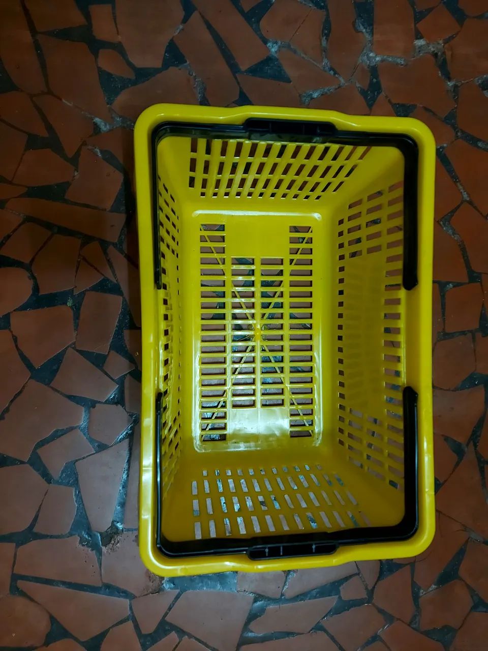 19 Cestas de Supermercado Novíssimas - Foto 3