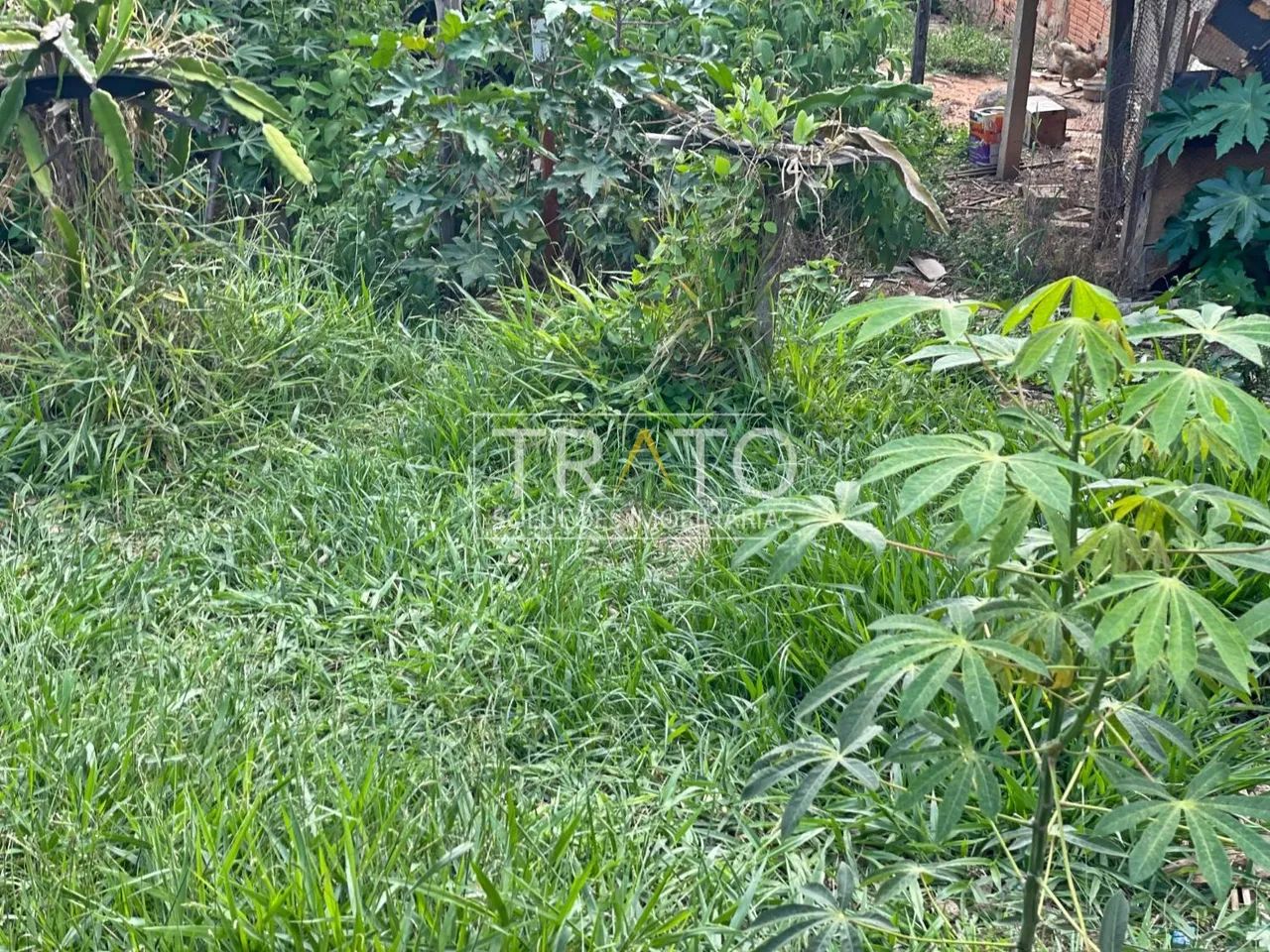 terreno - Jardim Myrian Moreira da Costa - Campinas - Foto 2