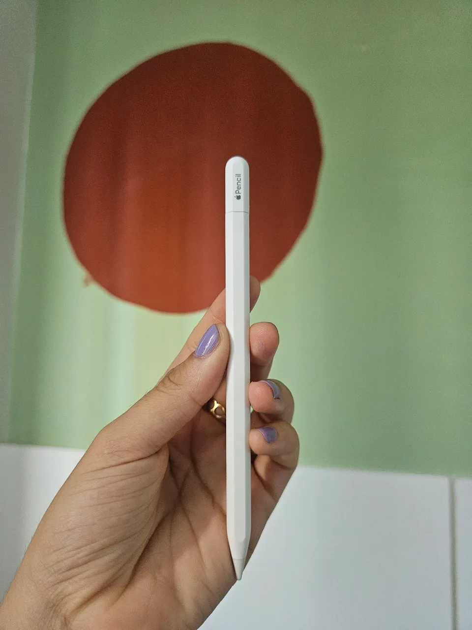 Apple Pencil USB-C Original - Apenas 2 meses de uso (Impecável
