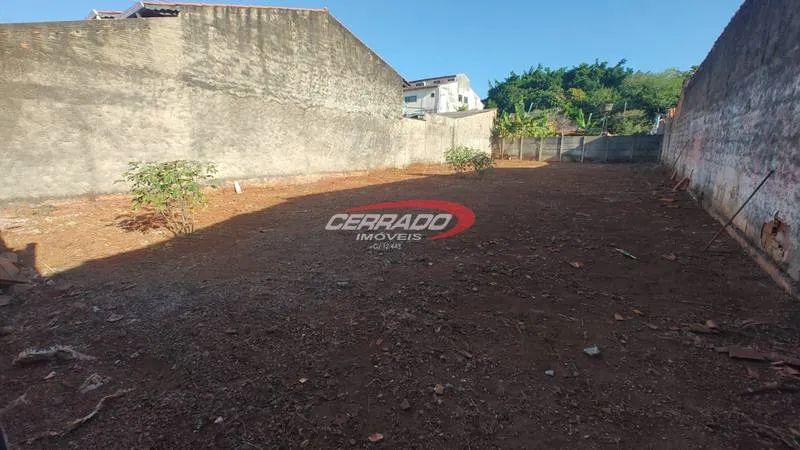 LOTE SETOR RIO FORMOSO - Foto 4