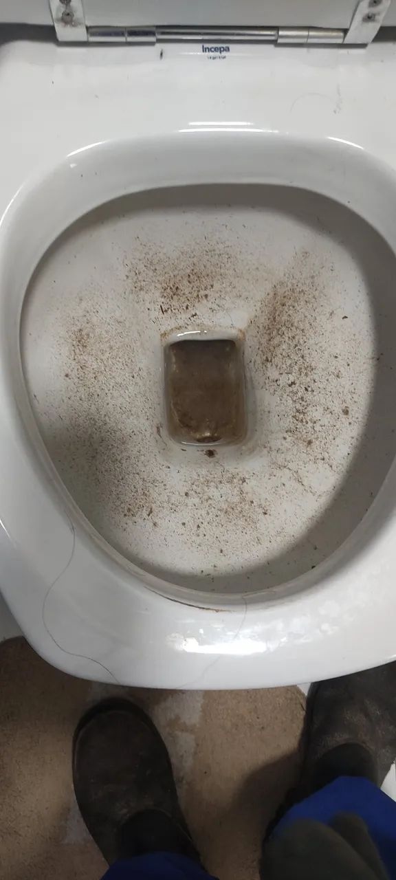 Desentupimento de Vaso Sanitário em Campinas | Atendimento Rápido - Foto 3