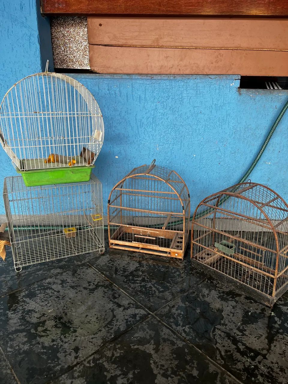 4 gaiolas barato!! - Foto 2