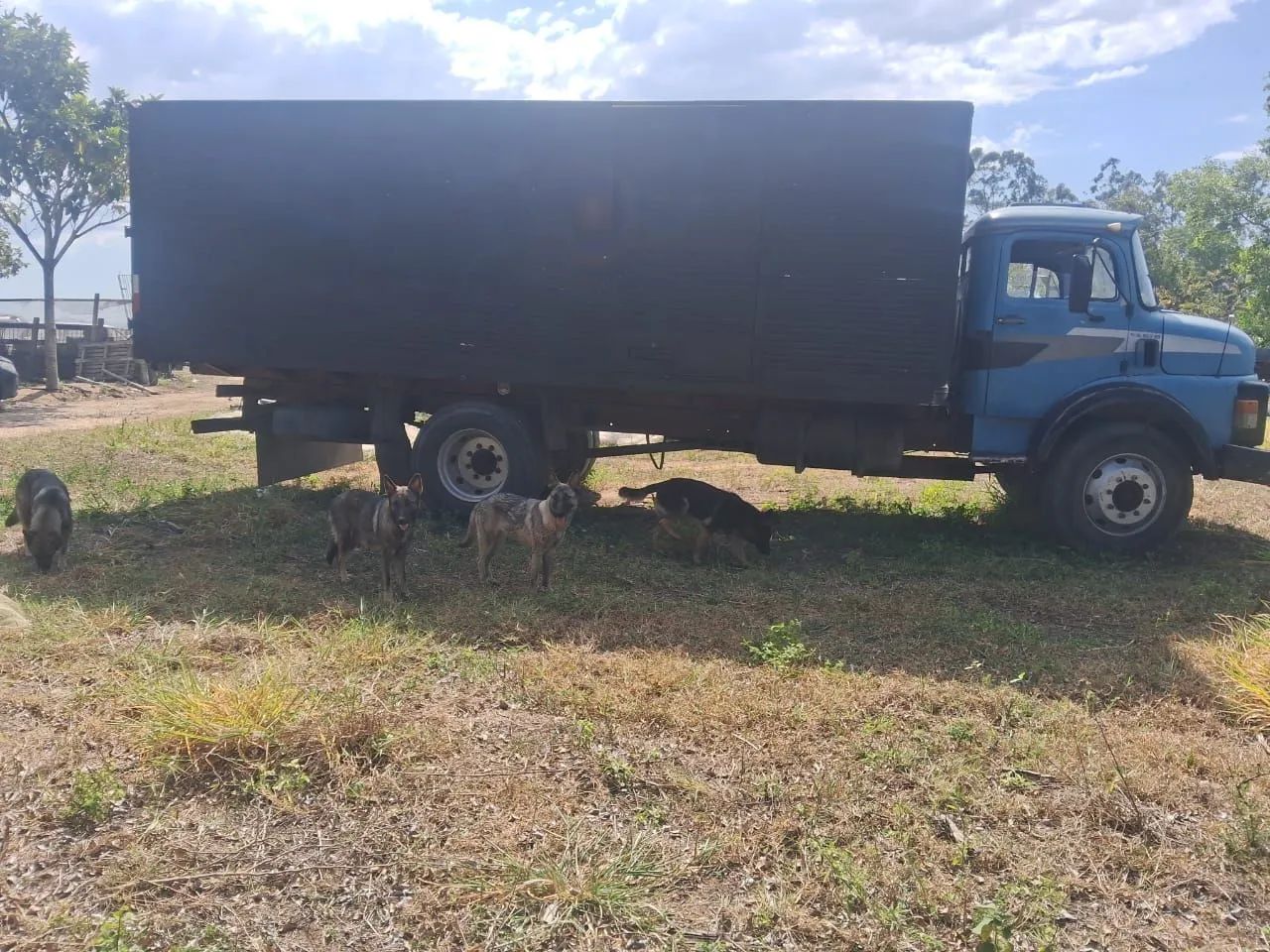 Caminhão MB1113, baú  - Foto 2
