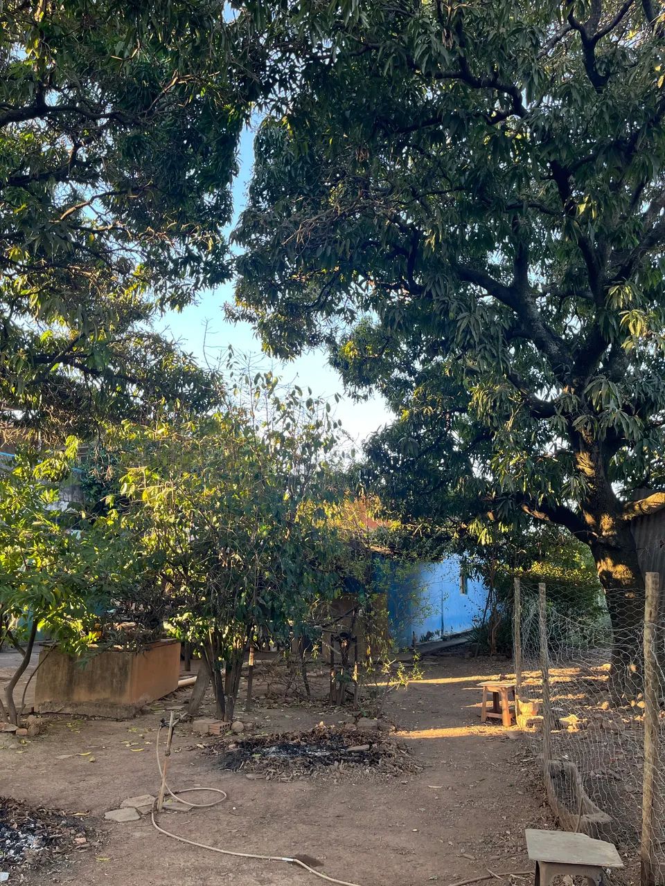 TERRENO EM BOCAIÚVA  - Foto 3