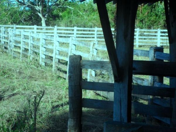 Fazenda na estrada parque de corumba ms - Foto 6
