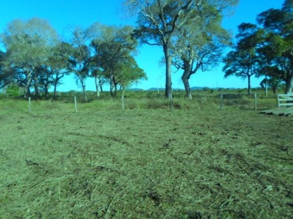 Fazenda na estrada parque de corumba ms - Foto 8