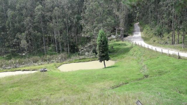 Perto de tudo - Foto 9