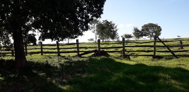 Chácara à venda de 1 alqueires e meio no município de Firminópolis - Foto 19