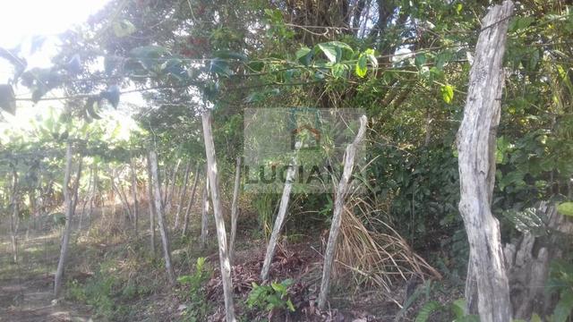 Sítio em Chã Grande com 9,2 hectare (Cód.: ho857) - Foto 20
