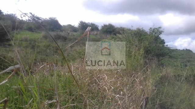 Sítio em Chã Grande com 9,2 hectare (Cód.: ho857) - Foto 10