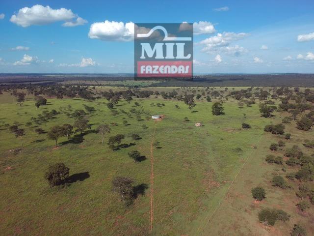 Fazenda Dupla Aptidão Sudoeste Goiano total 226 Alqueires ( 1.093 hectares ) Itajá-GO - Foto 8