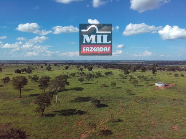 Fazenda Dupla Aptidão Sudoeste Goiano total 226 Alqueires ( 1.093 hectares ) Itajá-GO - Foto 10