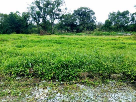 Òtimo terreno próximo ao centro - morretes/paraná